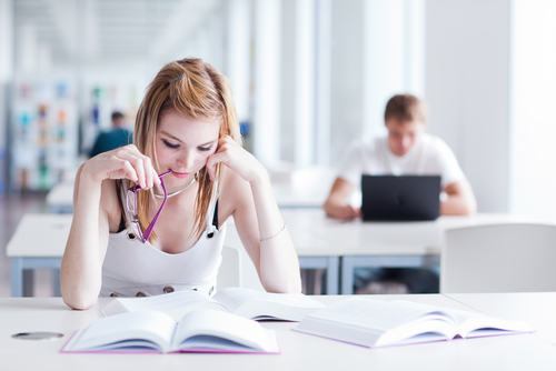 Higher Education Students Higher Education Students